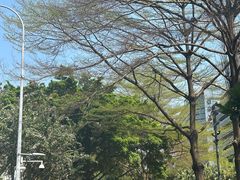 -深圳万象城