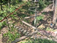 -梦幻奥陶纪景区