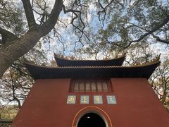 -普陀山风景名胜区-法雨禅寺