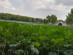 -长春市南湖公园