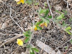 -二当家山庄(崮五路店)