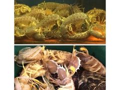 -真浪花园海鲜餐馆