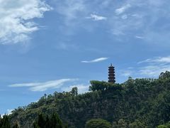 -南沙蒲洲花园