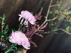 -春水堂人文茶馆(松烟文创店)