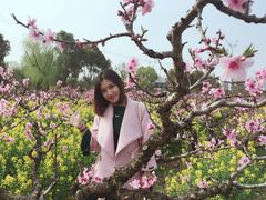 -南汇桃花村