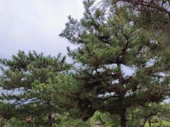 -燕郊植物园
