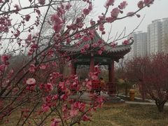 -山东大学(趵突泉校区)