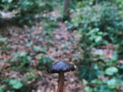 -苏州河梦清园环保主题公园