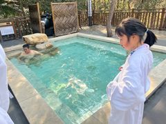 -天目湖涵田半山温泉