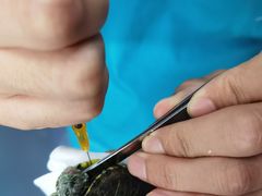 -天津前进宠物医院(前进道店)