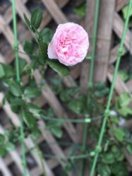 点击看大图 -悦芳庭美肤美体品牌集合店