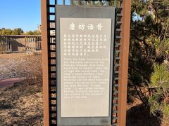 -马家湾湿地公园