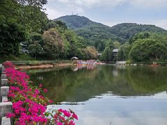 -广州市帽峰山景区