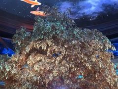 -永利澳门酒店