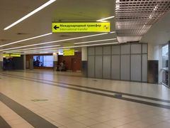 -谢列梅捷沃国际机场