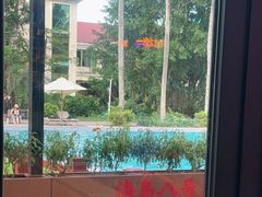 -海岛八号龙虾烧烤田鸡(蓝天路总店)