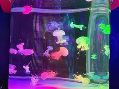 -左海海底世界