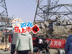 -中环花鸟鱼虫市场