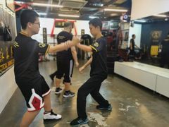 -温鉴良实用咏春拳