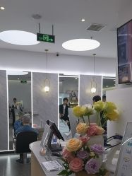 -YESIDO椰岛造型