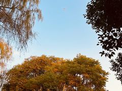 -广富林郊野公园