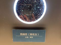 -青藏高原自然博物馆