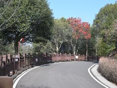 -游子山休闲旅游区