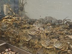 -金滏山烤肉·海鲜·火锅自助餐厅(襄阳万达店)