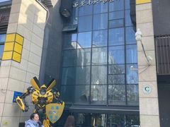 -西安小天鹅艺术团(曲江Alice店)