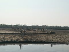 -宁波杭州湾国家湿地公园