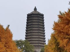 -玲珑塔公园