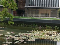 -星巴克(深圳前海企业公馆店)