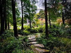 -上海滨江森林公园