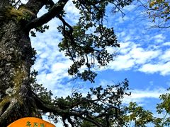 -武当山风景区