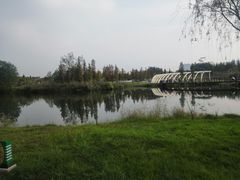 -眉山湿地公园(东坡区)