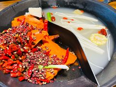 -阳阳老火锅(小南门店)