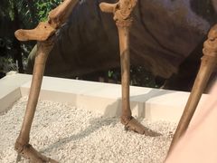 -生命奥秘博物馆