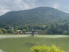 -黑龙潭公园