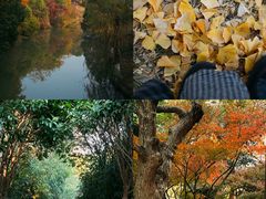 -八大山人梅湖景区