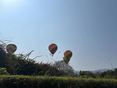 -中国科学院西双版纳热带植物园