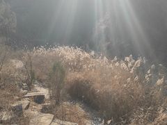 -龙洞风景区-藏龙涧