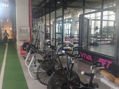 -GYMCARE VIVA(金开店)