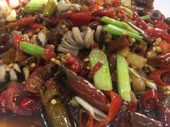 -西木兔(大圆祥店)
