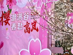 -高岚大峡谷旅游度假区