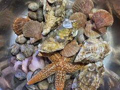 -锅老头铁锅炖•大锅蒸汽海鲜(韩乐坊店)