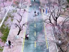 -吉林大学(南岭校区)
