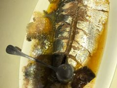清蒸鲥鱼-圆苑(上海广场店)