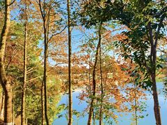 -凤岗南门山森林公园