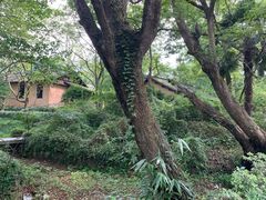 -法云安缦酒店