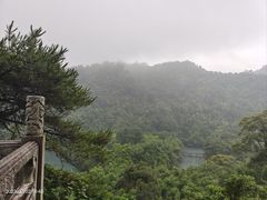 -鼎湖山风景区